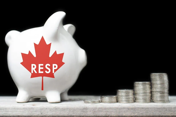 RESP_Piggy_Bank.png